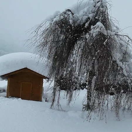 Appartement Haus Kirchner Flachau