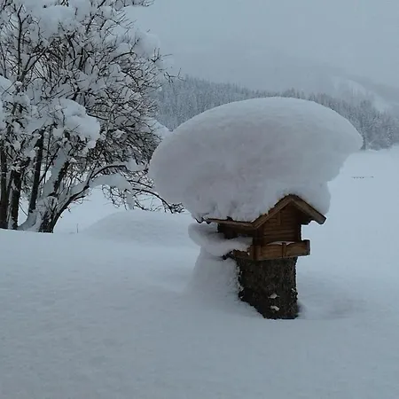 Appartement Haus Kirchner *