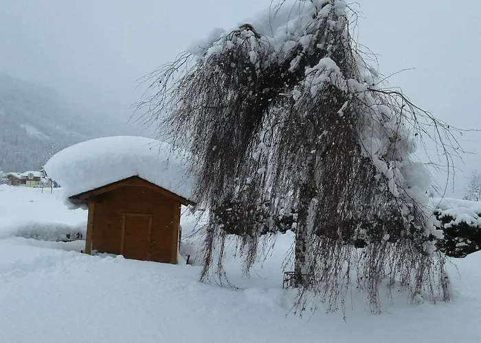 Appartement Haus Kirchner Flachau