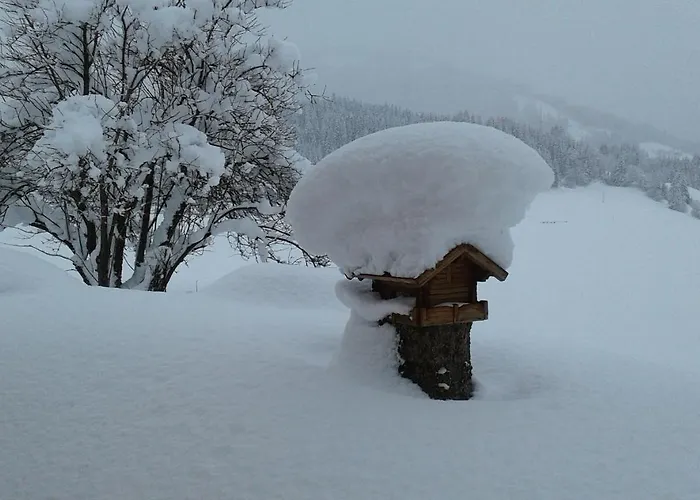 Apartment Haus Kirchner *